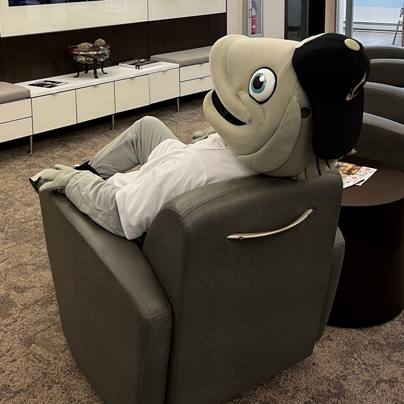 Gill sitting at Mequon