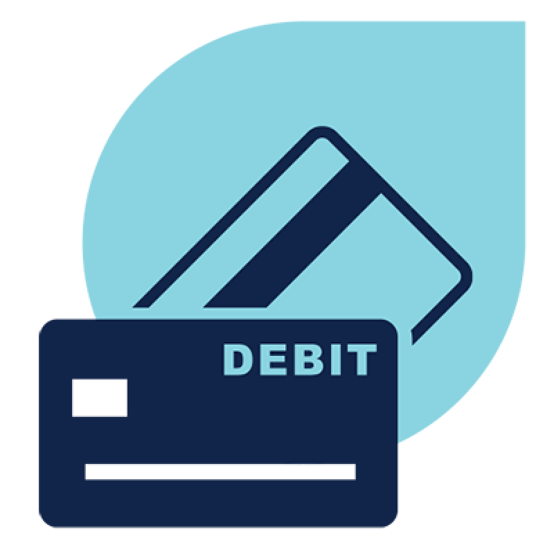 Website Checking Icons DebitControls